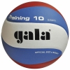  Мяч вол. "GALA Training 10" арт. BV5561S, р. 5, синт. кожа ПУ, клееный, бут. кам, бел-гол-красн 	Мяч вол. "GALA Training 10" арт. BV5561S, р. 5, синт. кожа ПУ, клееный, бут. кам, бел-гол-красн